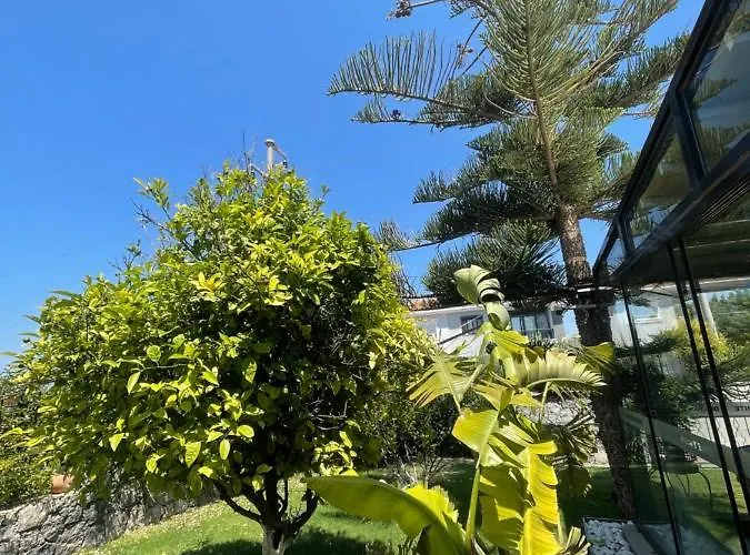 Dalyan Risus Bed & Breakfast 4*