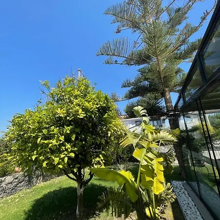 Dalyan Risus Bed & Breakfast *