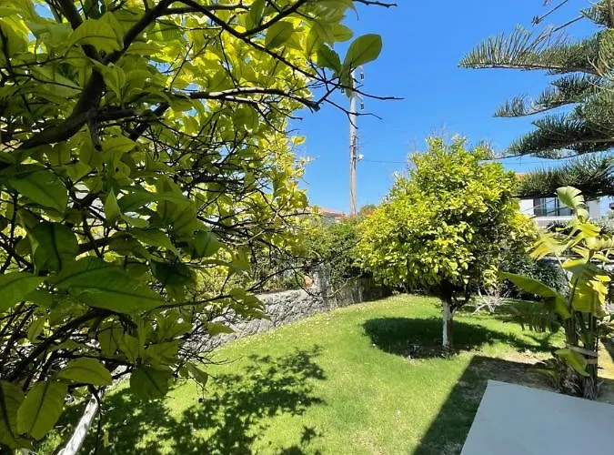 Dalyan Risus فندق مبيت وإفطار 4*