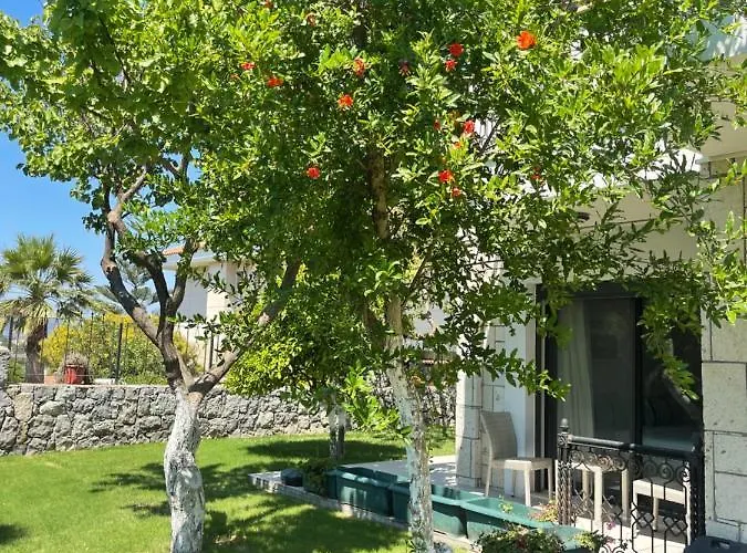 فندق مبيت وإفطار Dalyan Risus