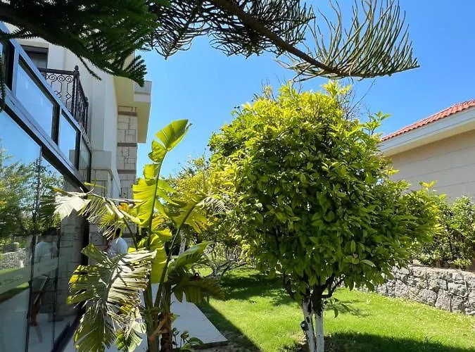 Dalyan Risus فندق مبيت وإفطار Çeşme